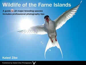 Wildlife of the Farne Islands Edition 1 cover